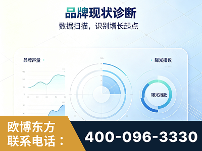 乐陵-品牌现状诊断