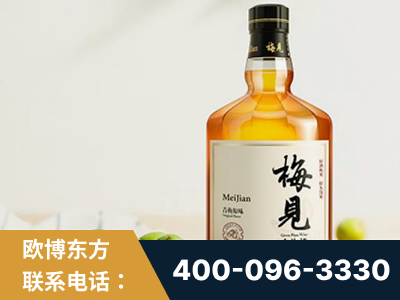 乐陵-梅见青梅酒